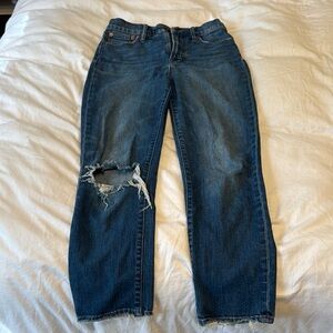 Madewell Perfect Vintage Crop Jean